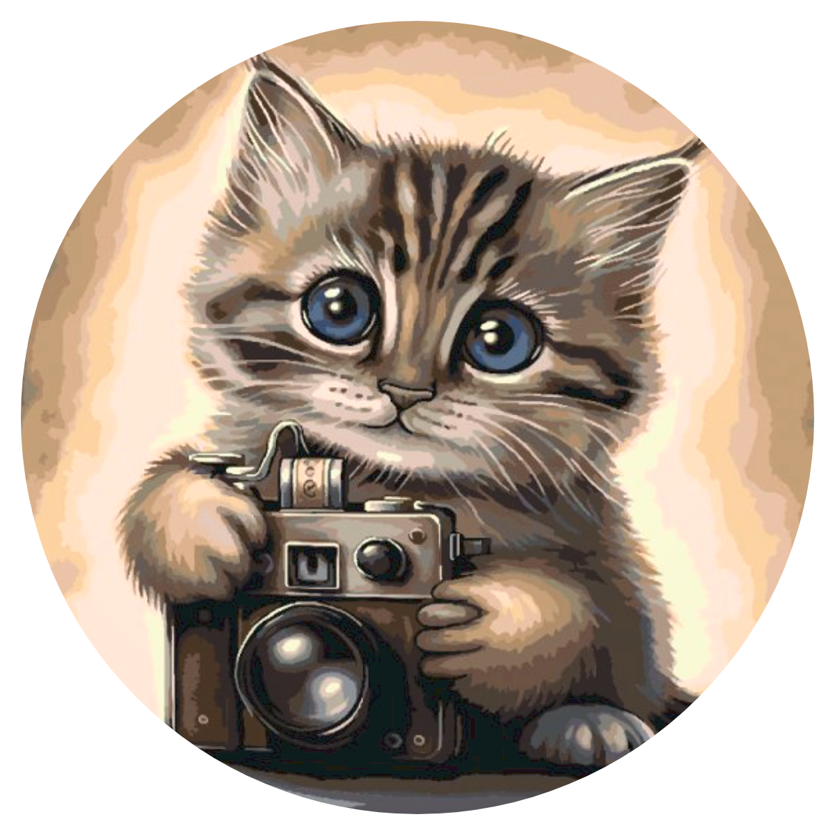 Malování podle čísel - Kitten with a Camera